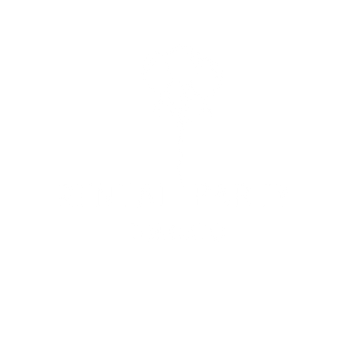 Rental Party Toronto